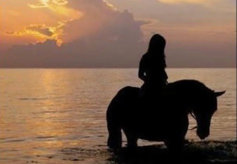 HorseWoman-1
